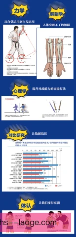 综合格斗动作力学，解析出拳踢腿发力核心原理